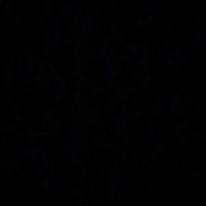 Meet your Posher, Ebony